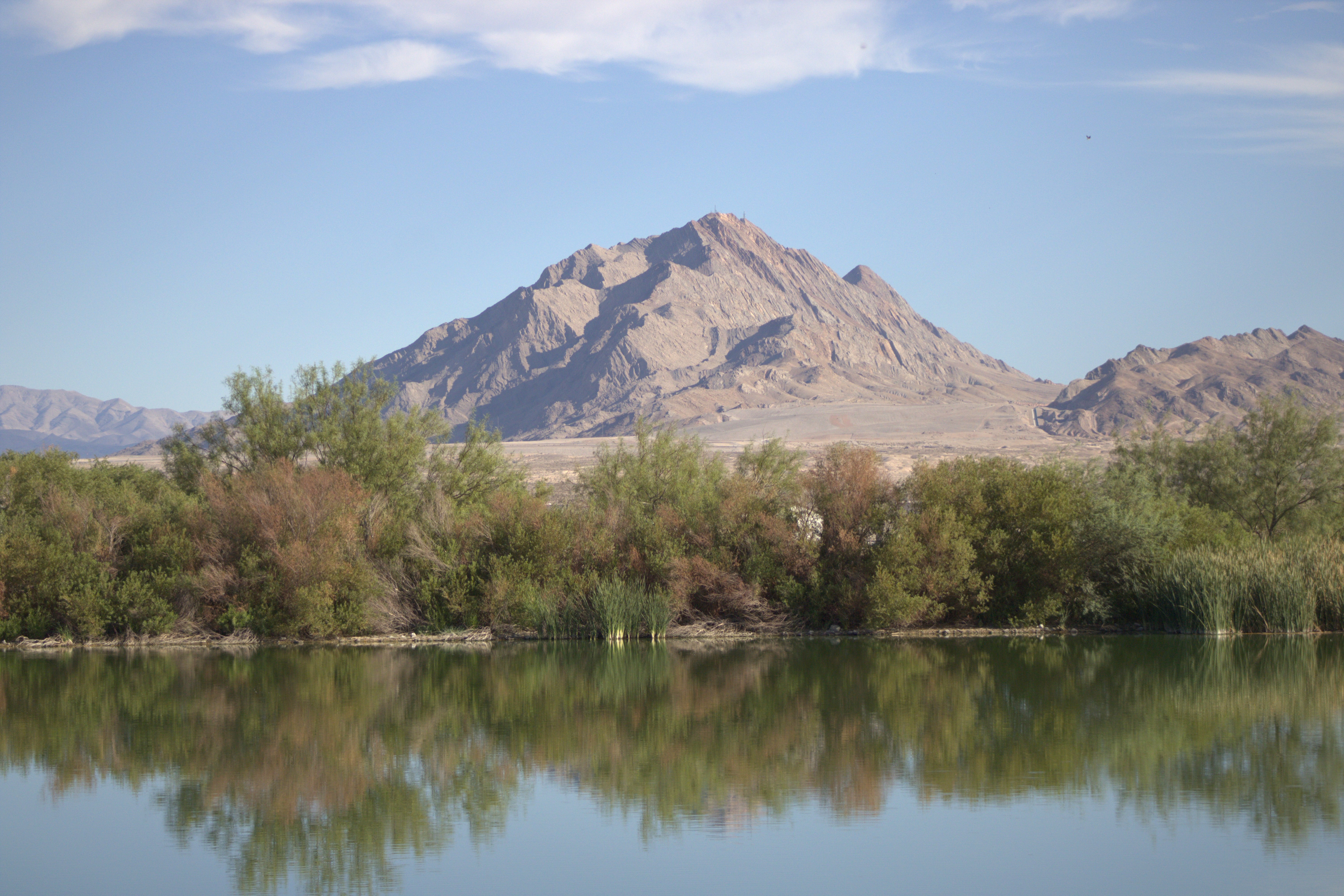 unidentified mountain from the Henderson Bird Viewing Preserve