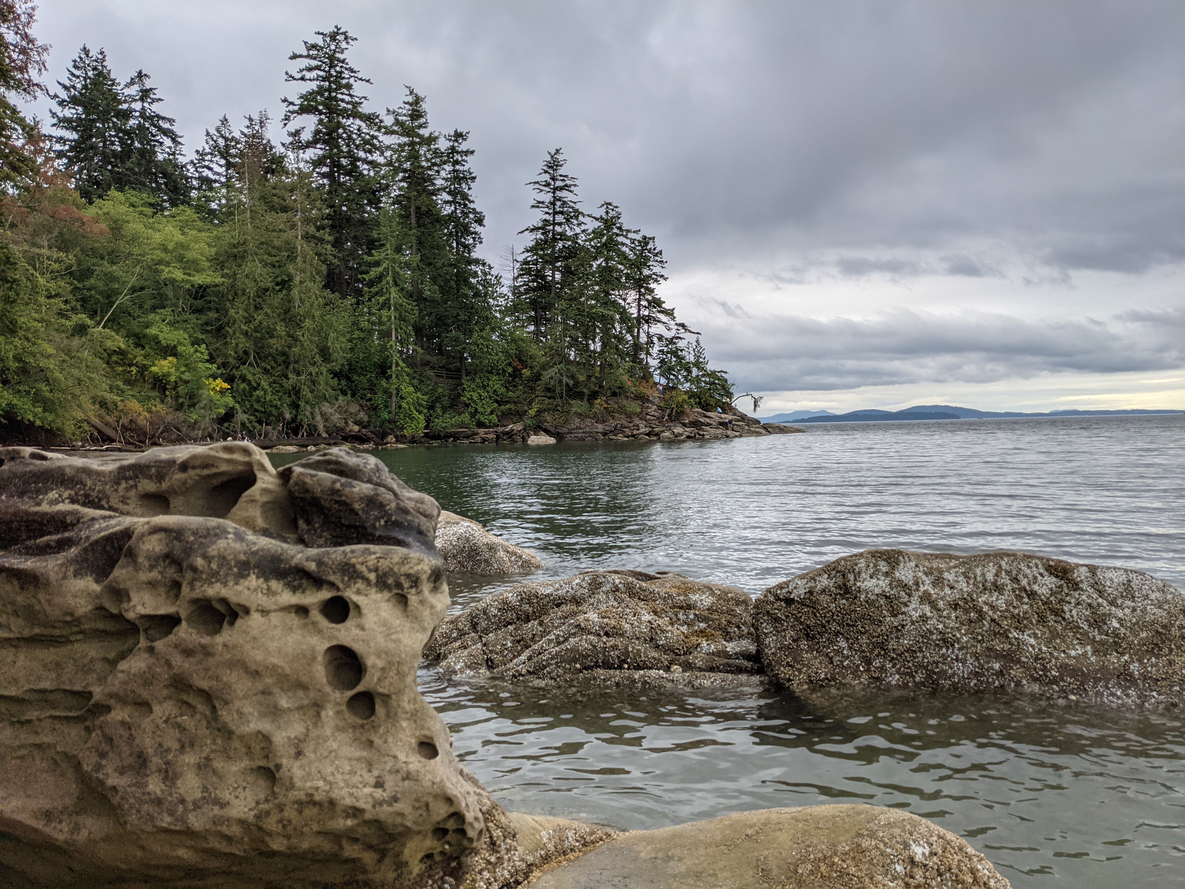 Bellingham Bay from Larrabee State Park