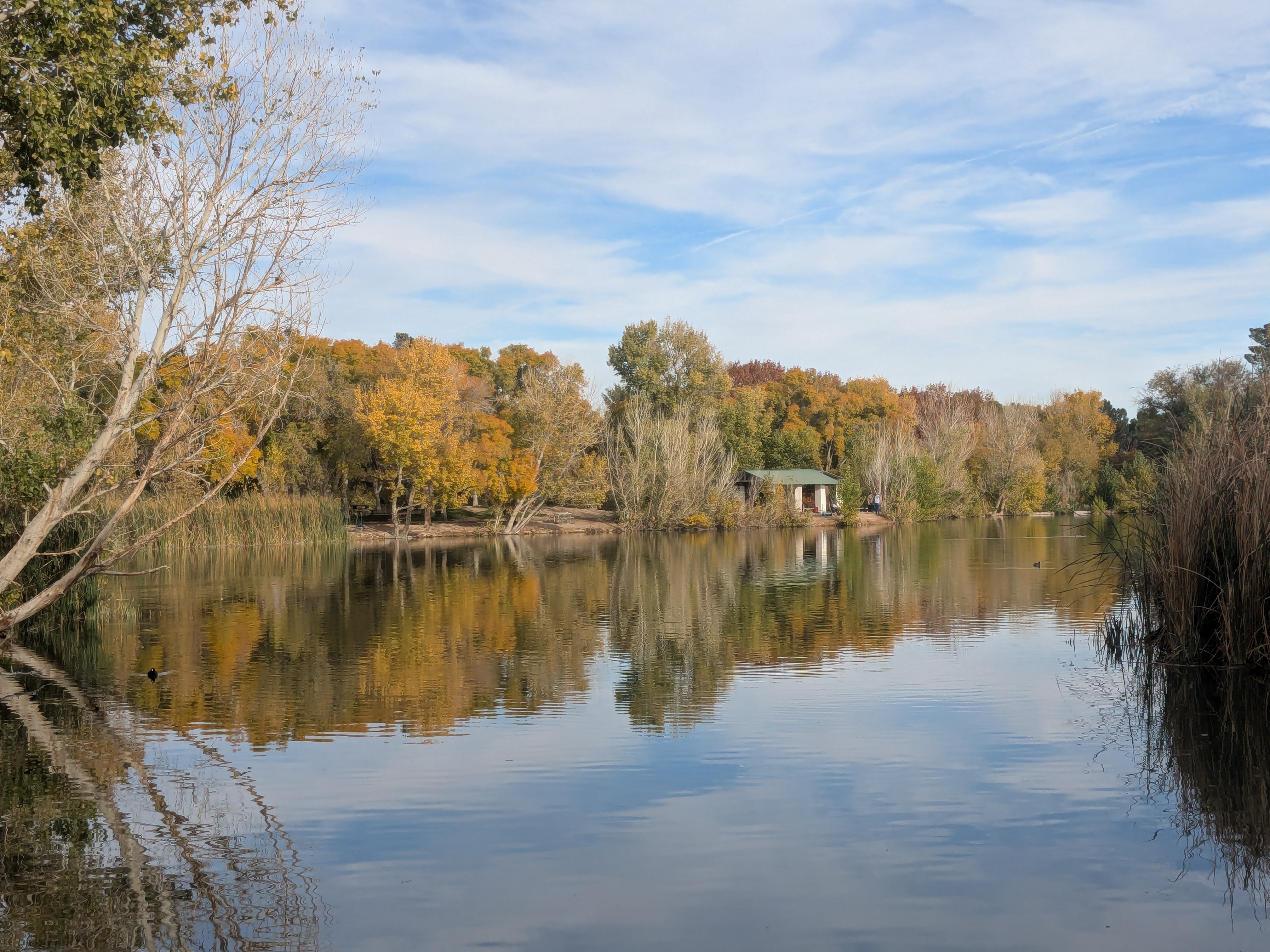 Floyd Lamb Park