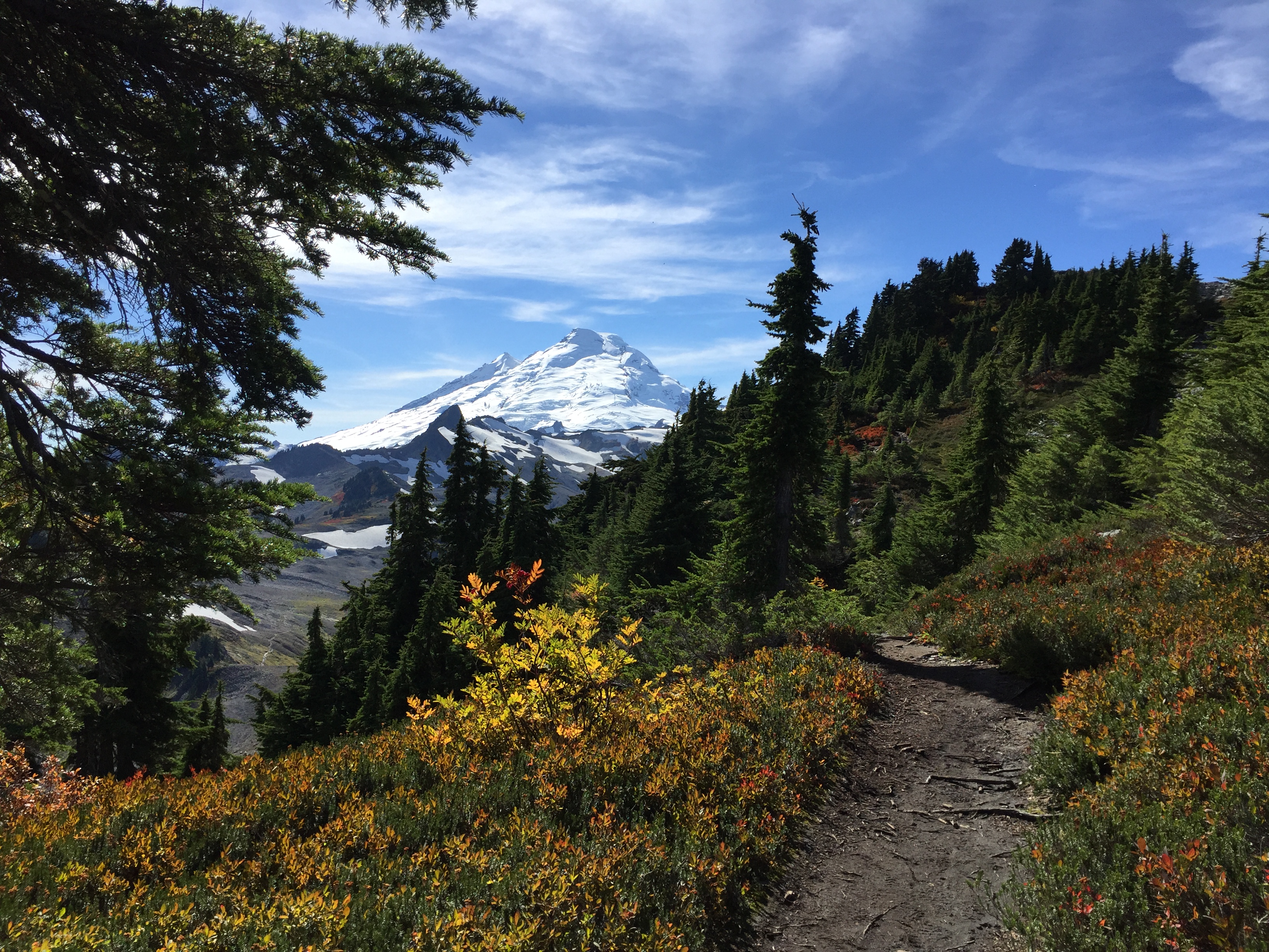 Mt. Baker from Table Mountain trail