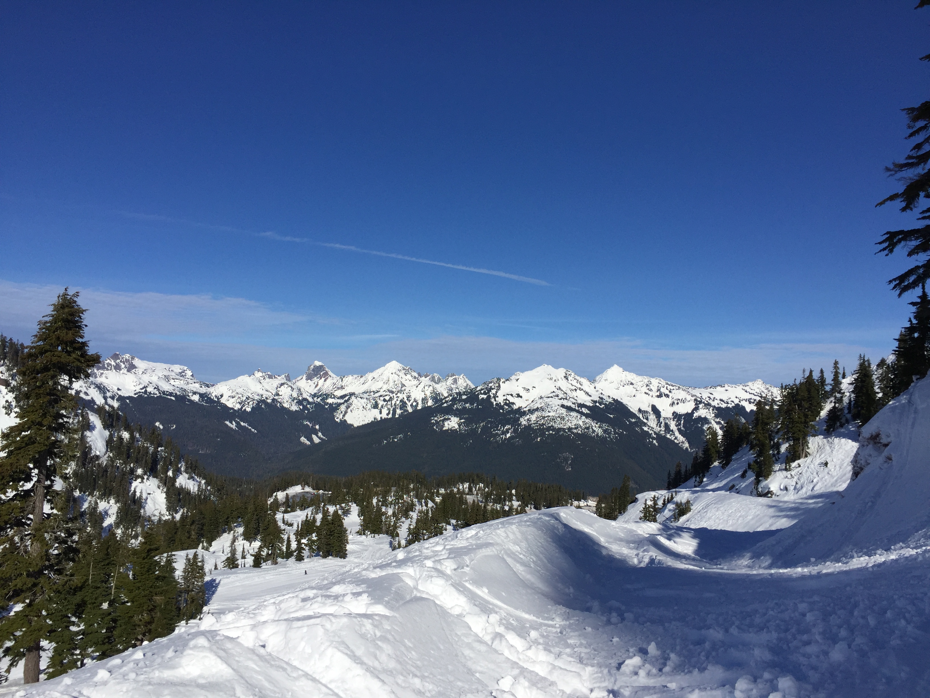 Artist Point