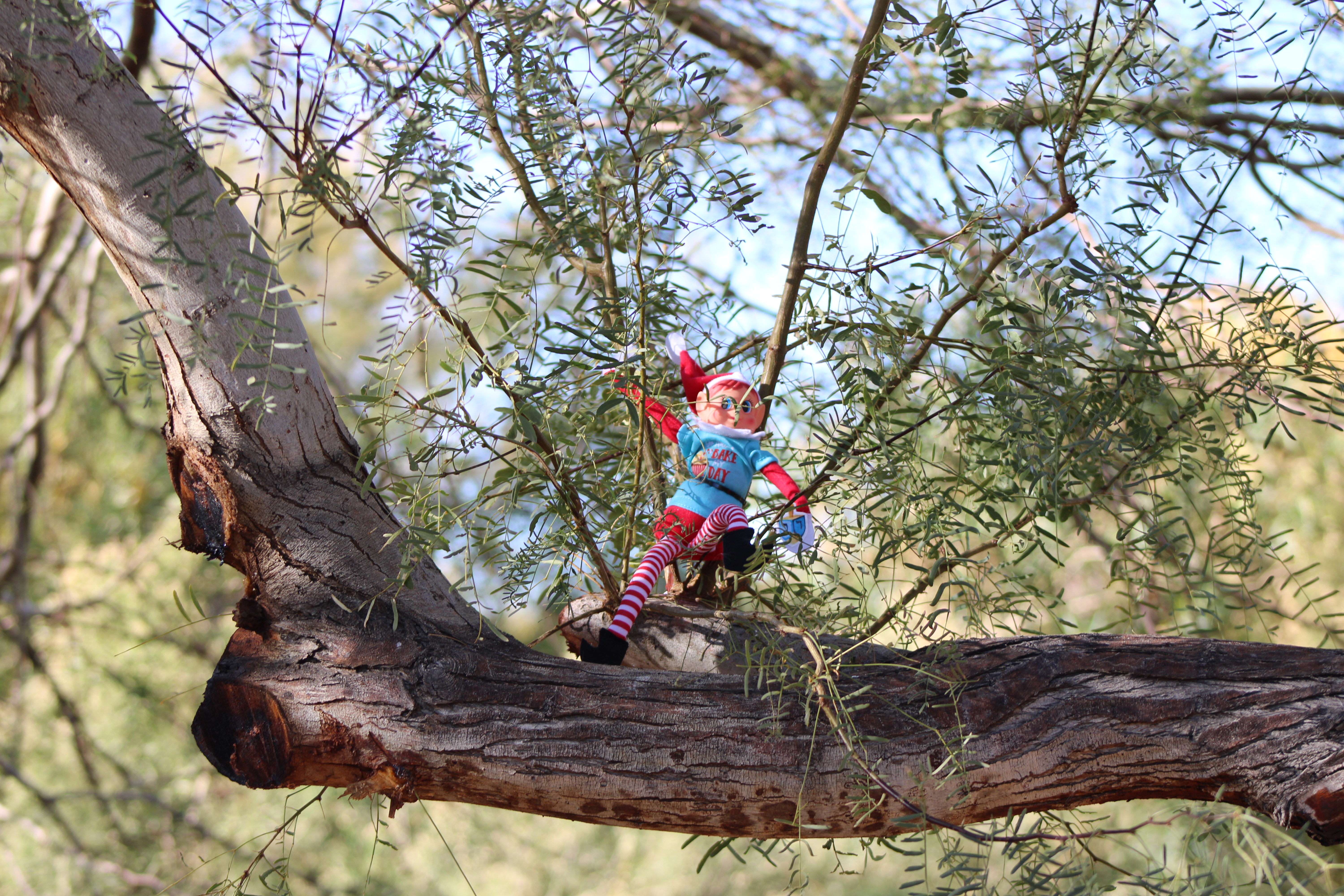 Elf on the Shelf (Henderson, NV)